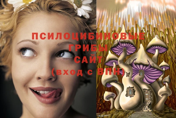 прущие крисы Няндома