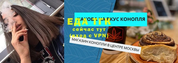 молекула духа Богородицк